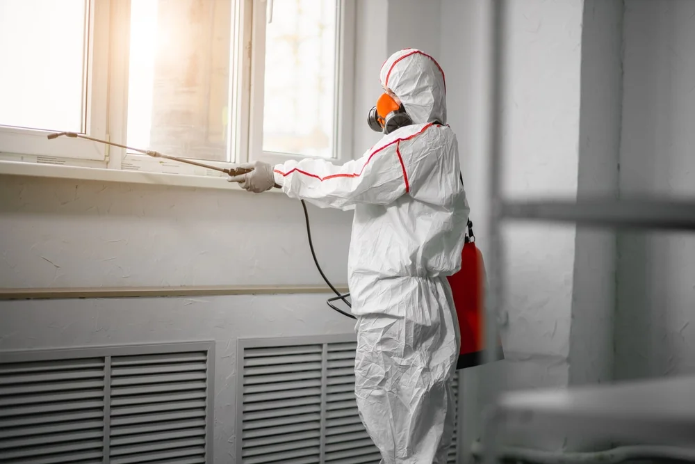 Professional mold remediation services in Greens Fork, IN